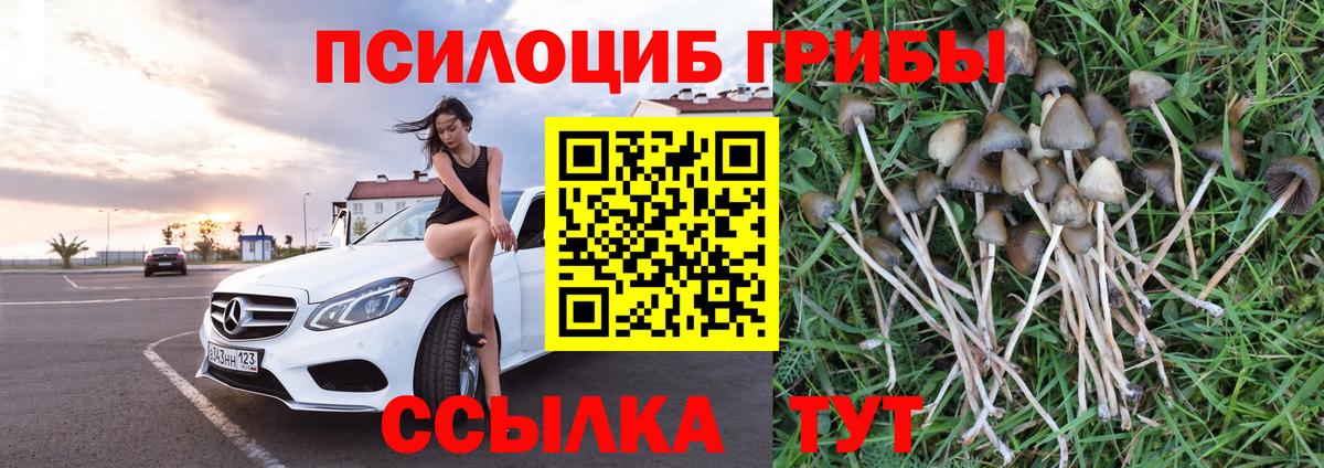 Мефедрон   ГАШ  Марихуана  Кирово-Чепецк  Вход с VPN 