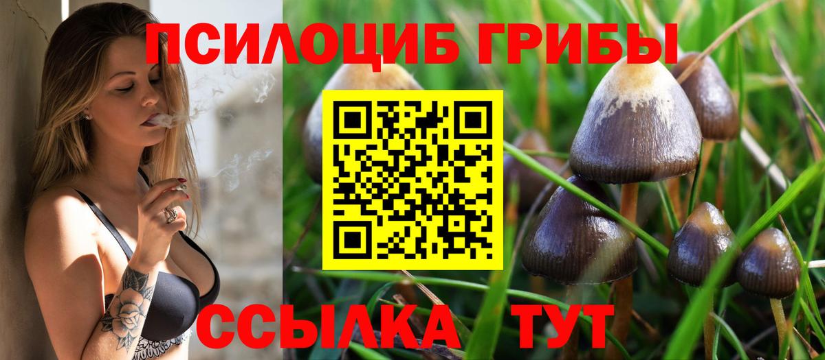 Псилоцибиновые грибы Magic Shrooms Кирово-Чепецк