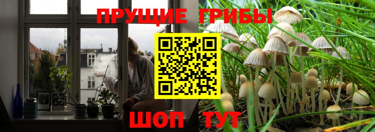 Галлюциногенные грибы мухоморы  Вход с VPN  Кирово-Чепецк  Псилоцибиновые грибы Psilocybe 